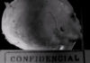 alienigena-brasil-operacion-plato
