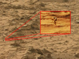 criatura-real-extraterrestre-alienigena-nasa-foto-marte