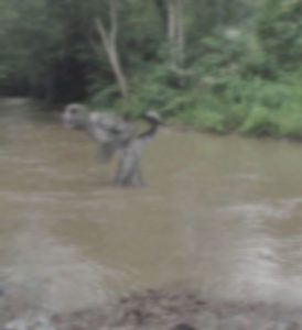 criatura-274x300 ¿Evidencia de Reptiliana? Fotografían un Hombre lagarto
