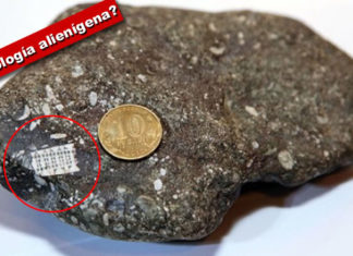 microchip-ancestral-alienigena-extraterrestre