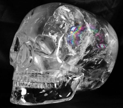 craneo-de-cristal