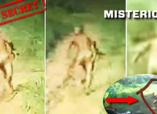 extraterrestre-moto-captan-malasia