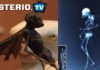 ser-extraterrestre-adn-alienigena