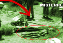alien-roswell-real-extraterrestre