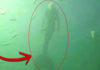 encuentro-cercano-sirena