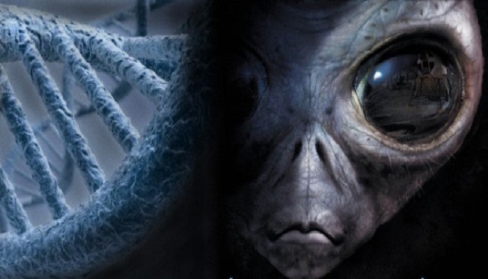 Los humanos son híbridos de la creación de los antiguos extraterrestres