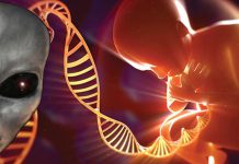 ¿Nuestro ADN fue estructurado por una civilización extraterrestre?