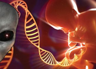 ¿Nuestro ADN fue estructurado por una civilización extraterrestre?