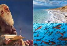 Se cumple la profecía bíblica sobre el Mar Muerto