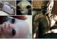 ARCHIVO SECRETO RUSO - Razas Alienígenas en la KGB